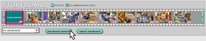 Storyboard options